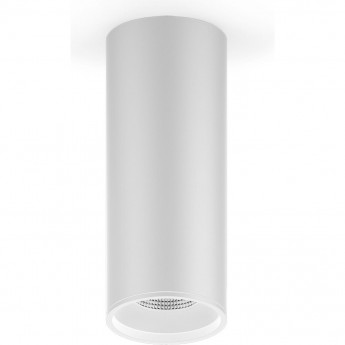 Светильник GAUSS OVERHEAD 920lm 170-240V 79*200мм хром сатин LED 1/30